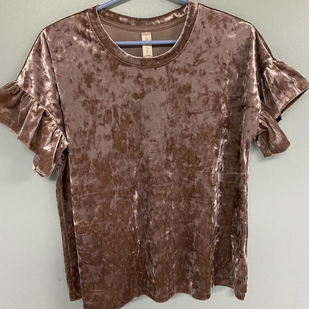 Altar’d state Velvet cropped t shirt